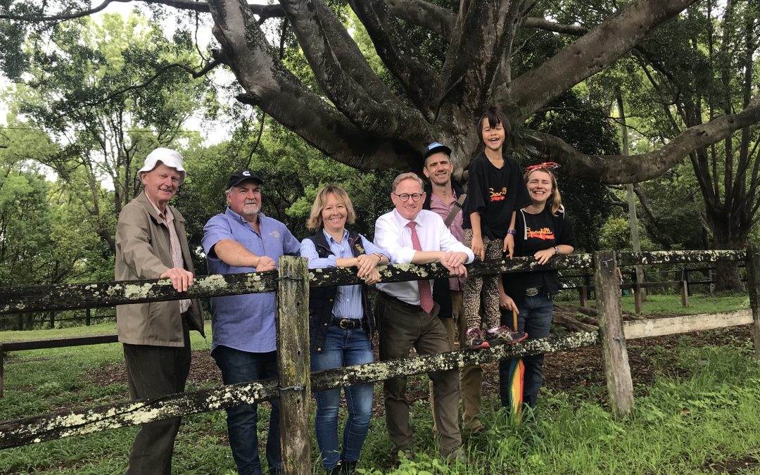 THE SHOW GOES ON AT MULLUM SHOWGROUND WITH NSW GOVERNMENT FUNDING