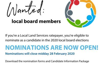 LLS BOARD NOMINATIONS NOW OPEN