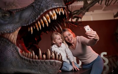 FREE-ENTRY FUN AWAITS THESE SCHOOLS HOLIDAYS