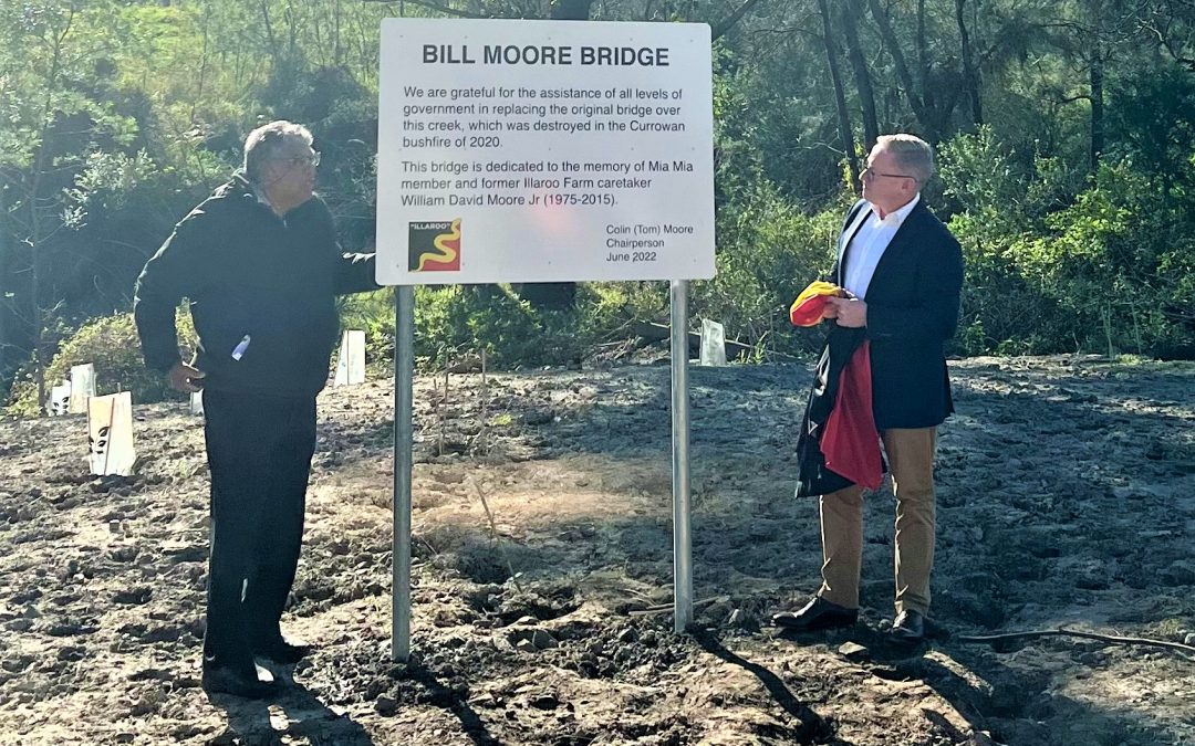 OPENING A BRIDGE TO THE FUTURE AT NOWRA’S ILLAROO FARM